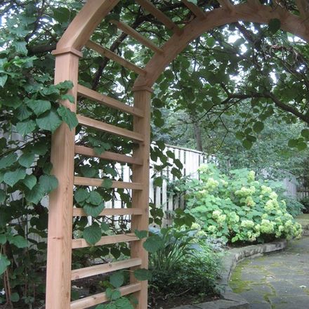 Pergolas project photo 17
